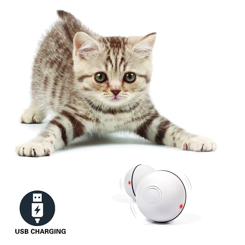 Smart LED Cat Toy – Auto Rolling & USB Rechargeable