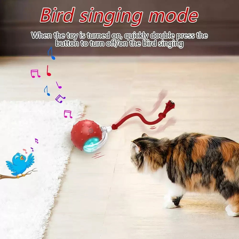 Smart Interactive Cat Ball – Motion-Activated Toy