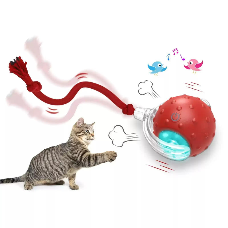 Smart Interactive Cat Ball – Motion-Activated Toy