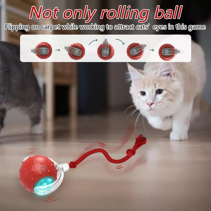 Smart Interactive Cat Ball – Motion-Activated Toy