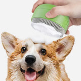 3-in-1 Electric Pet Massage & Steam Brush